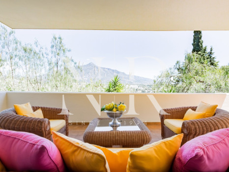 Villa in Nueva Andalucia for rent