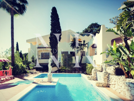 Villa in Nueva Andalucia for rent