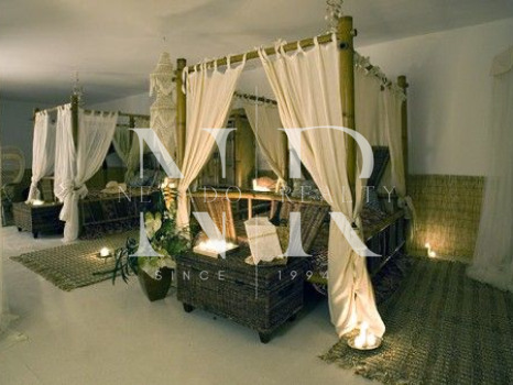 Villa in Nueva Andalucia for rent