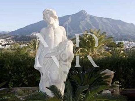 Villa in Nueva Andalucia for rent
