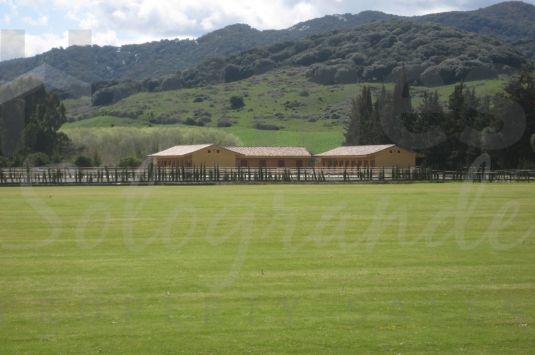 Great finca with swimming pool where you can play Polo close to Sotogrande and Marbella