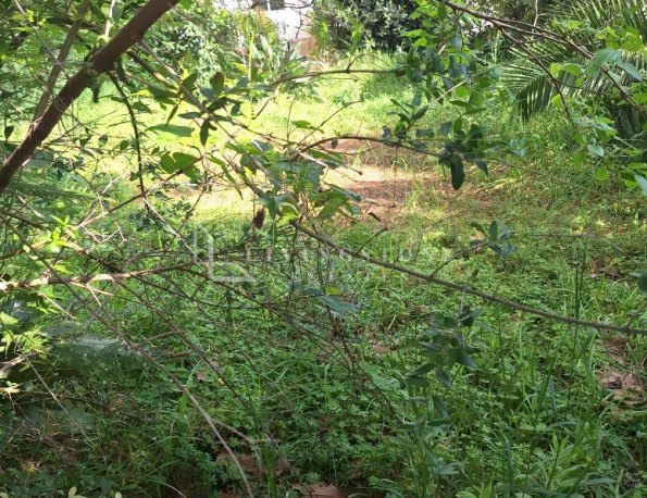 Investment opportunity