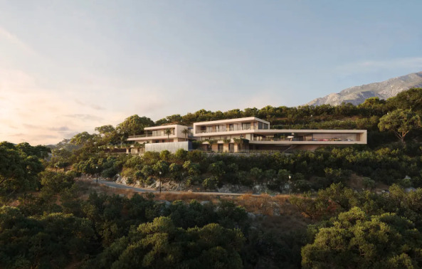 Development in Benahavis