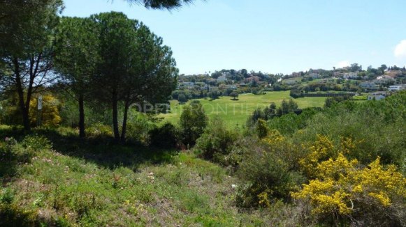 Parcela con impresionantes vistas en Sotogrande Alto