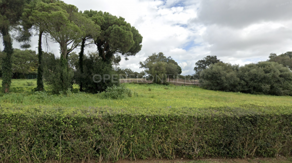 Plot for Sale in San Roque Club