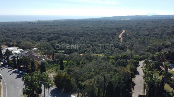 Stunning Plots in Sotogrande Costa with Sea Views