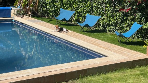 Villa à vendre en Zona C, Sotogrande Alto