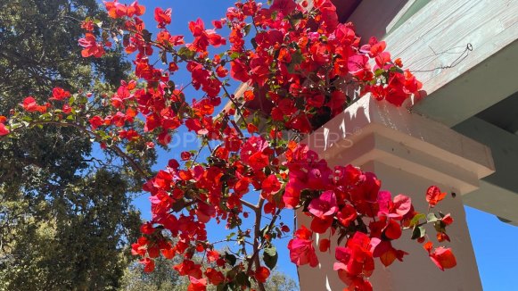 Villa à vendre en Zona C, Sotogrande Alto
