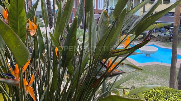 Apartment te koop in Sotogrande Puerto Deportivo