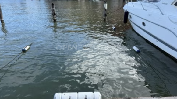 Berth for sale in Isla de la Vela, number 8, ideally located in Sotogrande Costa