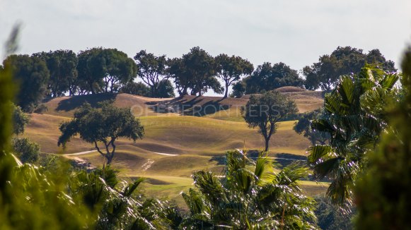 Villa Sotogrande Alto Golf Views