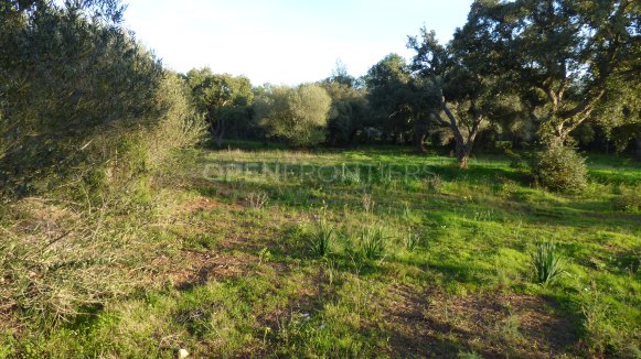 Exceptionnel terrain en première ligne de golf à Altos de Valderrama, Sotogrande