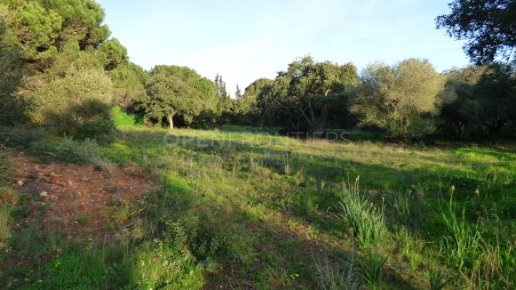 Exceptionnel terrain en première ligne de golf à Altos de Valderrama, Sotogrande