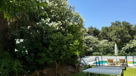 Contemporary Semi-Detached Villa with Private Pool in Sotogolf, Sotogrande