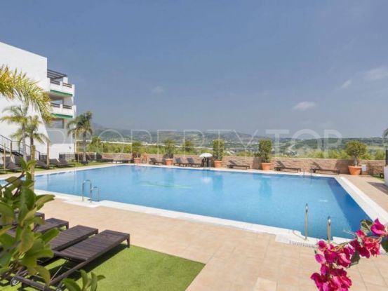Buy apartment in Valle Romano with 1 bedroom | Dream Property Marbella