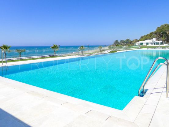 For sale Emare ground floor apartment with 3 bedrooms | Terra Realty