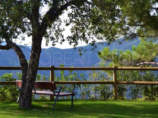 Villa in Istan | Cleox Inversiones