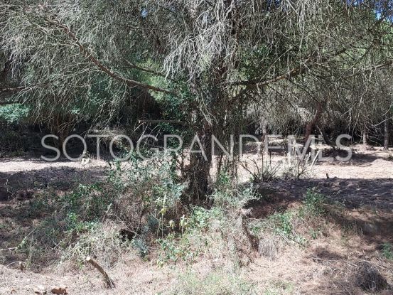 Sotogrande Alto plot for sale | Sotobeach Real Estate