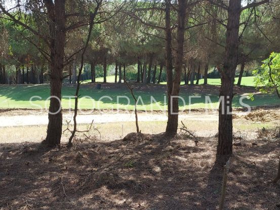 Sotogrande Alto plot for sale | Sotobeach Real Estate
