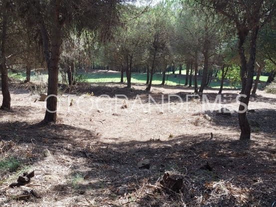Sotogrande Alto plot for sale | Sotobeach Real Estate