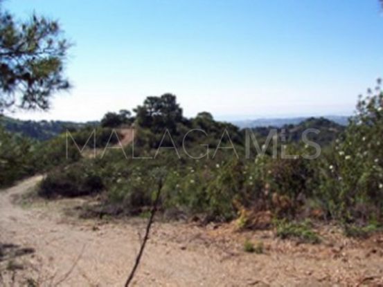 Parcela a la venta en El Velerin, Estepona | Kristina Szekely International Realty