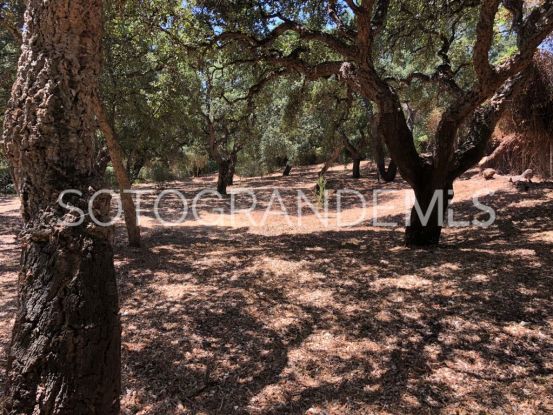 Valderrama Golf, Sotogrande Alto, parcela a la venta | Kristina Szekely International Realty