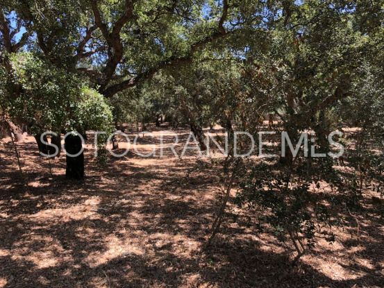 Valderrama Golf, Sotogrande Alto, parcela a la venta | Kristina Szekely International Realty