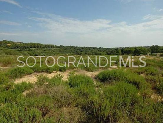 Almenara, Sotogrande Alto, parcela a la venta | James Stewart - Savills Sotogrande
