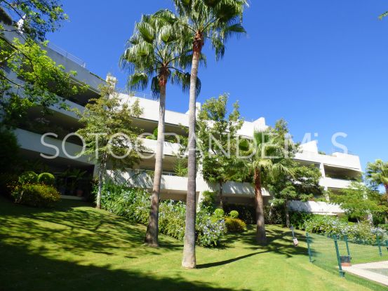 For sale apartment in Polo Gardens, Sotogrande | Savills Sotogrande