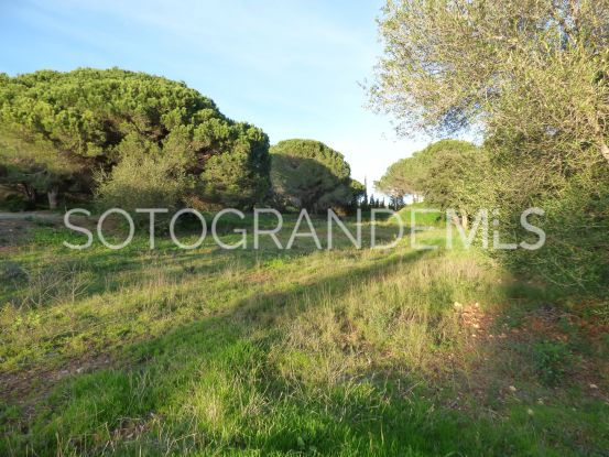 For sale plot in Los Altos de Valderrama, Sotogrande Alto | James Stewart - Savills Sotogrande