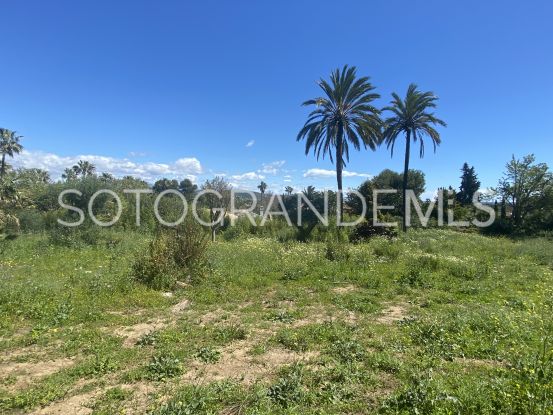 Sotogrande Costa, parcela a la venta | James Stewart - Savills Sotogrande