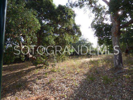 Comprar parcela en Sotogrande Alto | James Stewart - Savills Sotogrande