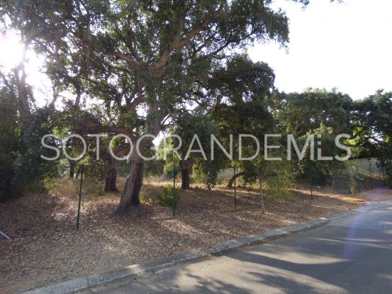 Comprar parcela en Sotogrande Alto | James Stewart - Savills Sotogrande