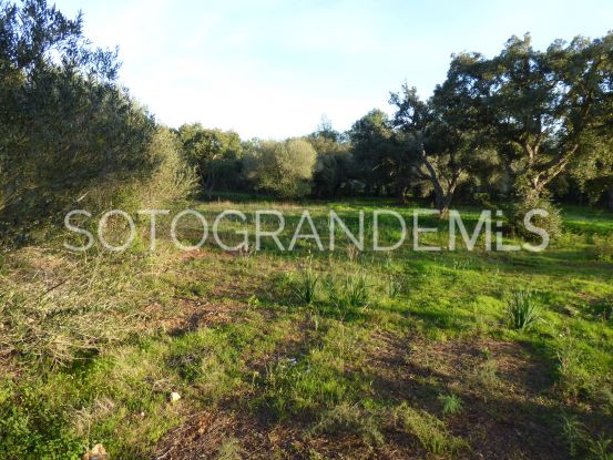 Comprar parcela en Los Altos de Valderrama | James Stewart - Savills Sotogrande