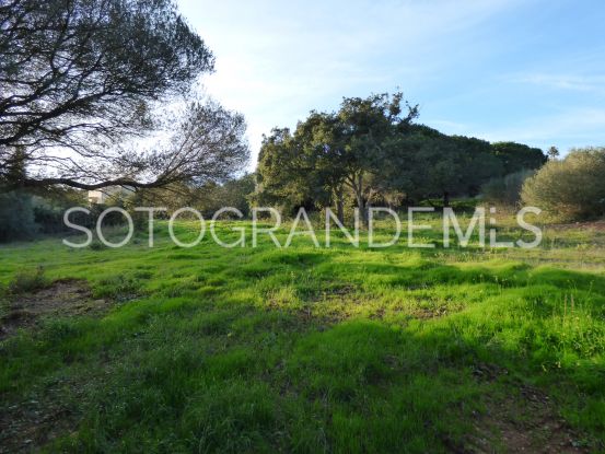 Comprar parcela en Los Altos de Valderrama | James Stewart - Savills Sotogrande