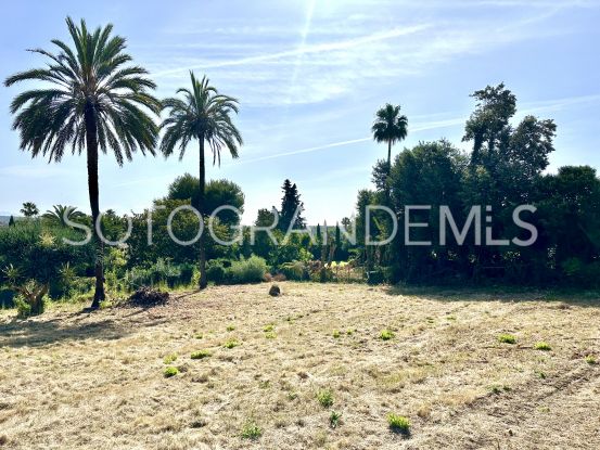 Reyes y Reinas, Sotogrande Costa, parcela a la venta | Kassa Sotogrande Real Estate