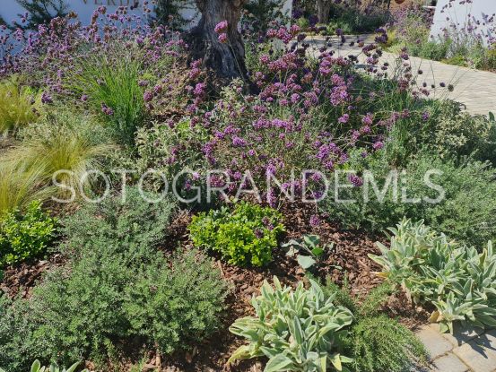 Buy La Reserva ground floor apartment with 3 bedrooms | Sotogrande Properties by Goli