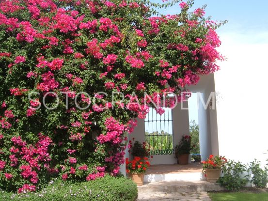 Villa en venta con 5 dormitorios en Zona B, Sotogrande Costa | Sotogrande Properties by Goli