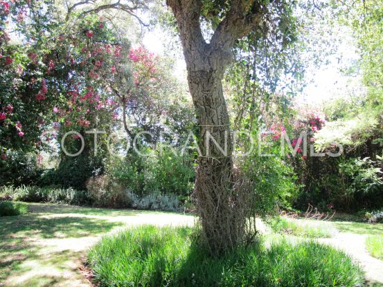 For sale Los Altos de Valderrama villa | Sotogrande Properties by Goli