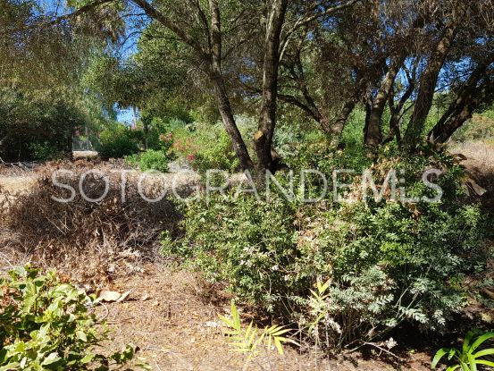 Zona F, Sotogrande, parcela a la venta | Sotogrande Properties by Goli