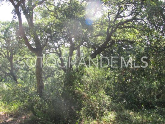 Los Altos de Valderrama, Sotogrande, parcela a la venta | Sotogrande Properties by Goli