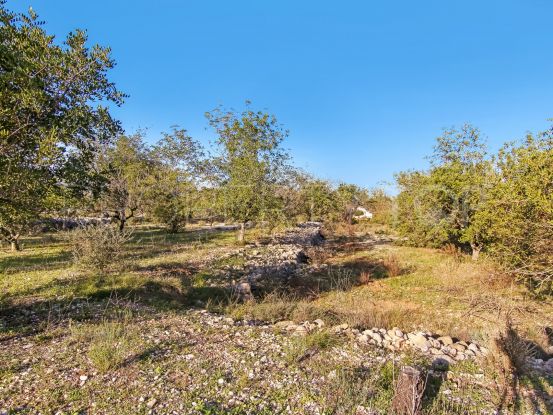 Large rustic plot of land of almost 11,000 m2 in Parcent with permission to build a house of 206 m2