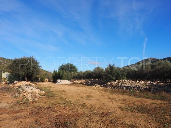 2 large plots near Alcalalí