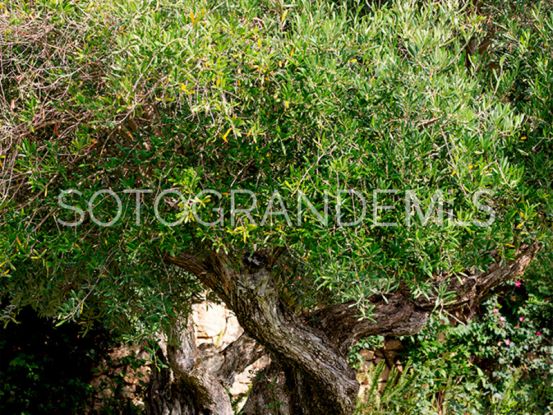6 bedrooms villa in Sotogrande Alto for sale | Sotogrande Exclusive