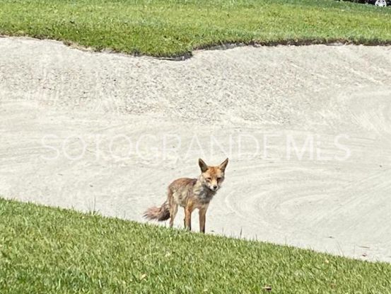 Comprar parcela en La Reserva | Sotogrande Exclusive