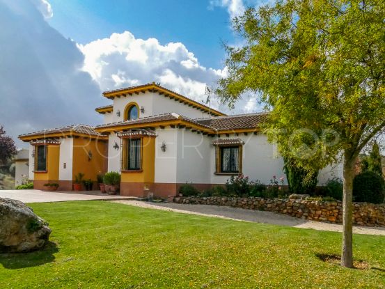 A beautiful cortijo with total peace and privacy