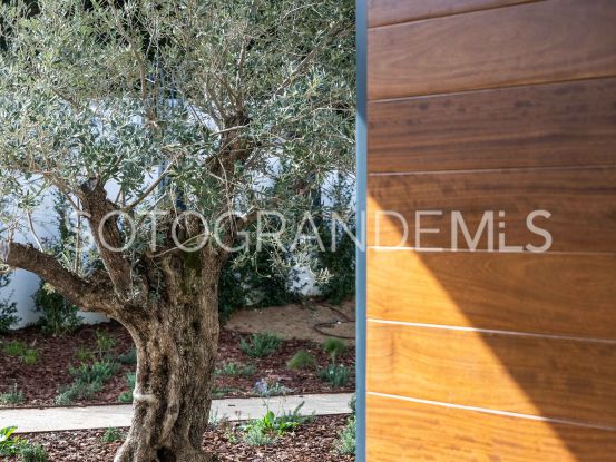 Buy villa with 6 bedrooms in Sotogrande Alto | Ondomus