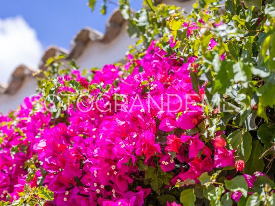 Zona F villa with 4 bedrooms | Ondomus