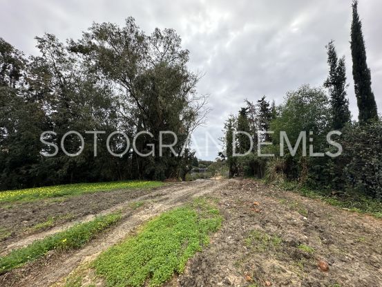 Plot for sale in Sotogrande Alto Central | Miranda Properties