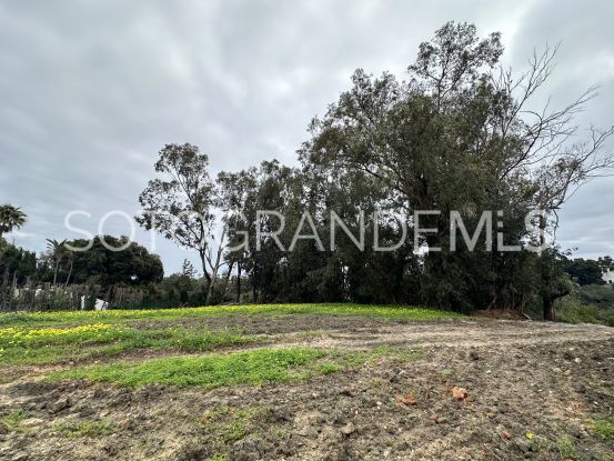 Plot for sale in Sotogrande Alto Central | Miranda Properties